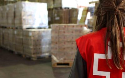Cruz Roja vuelve a confiar en Directia para el Plan de Alimentos 2016